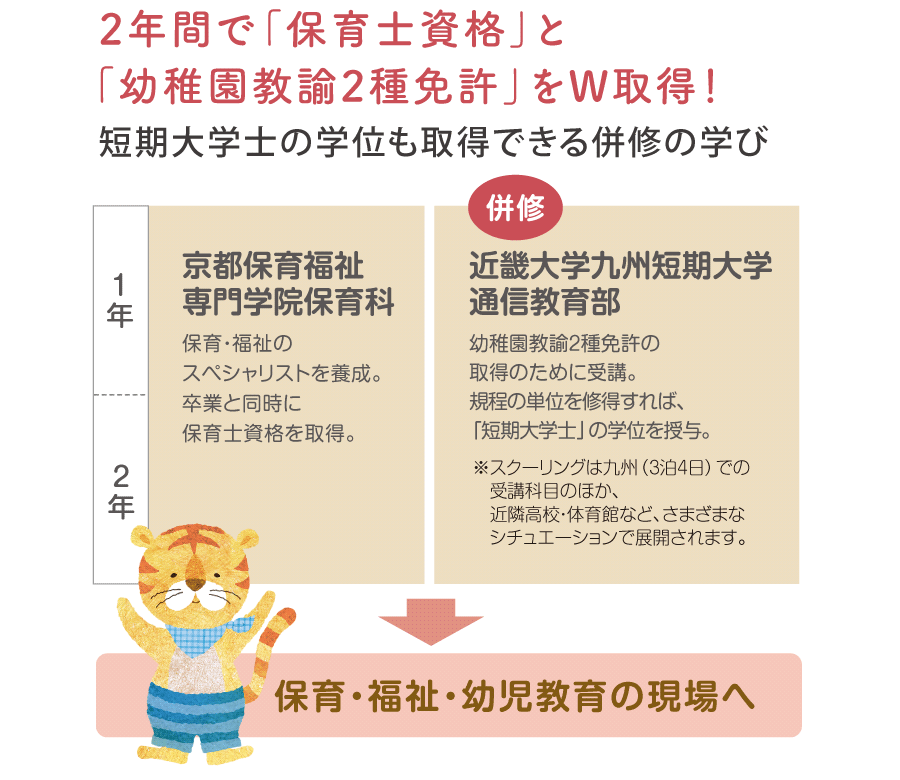 図:入学から保育・幼児教育の現場までのフロー